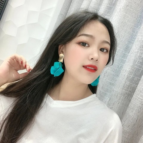 Colorful Personality Drop Earrings for Women - Simple Rose Petal Design