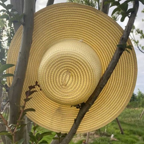 Summer Brown Wide Brim Straw Hat for Women with UV Protection