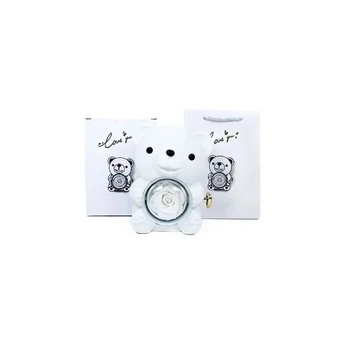 Rose Embrace Gift Box with Free Personalized Necklace - Elegant Eternal Rose for Women's Special Days